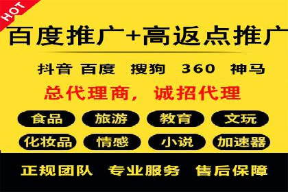 百度竞价广告投放案例解析